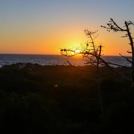 Apartamento Casa Da Amorosa